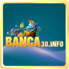 banca30info's avatar