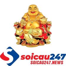 soicau247news's avatar