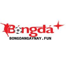 bongdangaynay's avatar