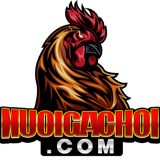 nuoigadaonline