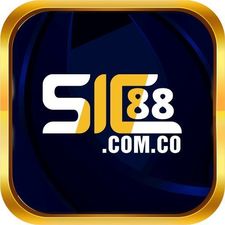 sic88co's avatar