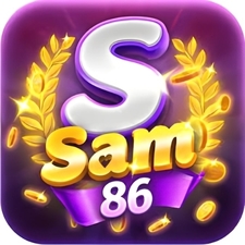 sam86art01
