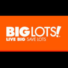 BiglotSurvey