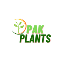 pakplants's avatar