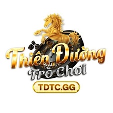 tdtcgg's avatar