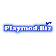 playmod.biz's avatar