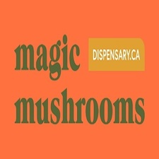 Magic Mushrooms Dispensary's avatar