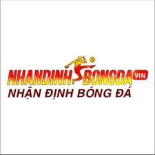 nhandinhbongdavin