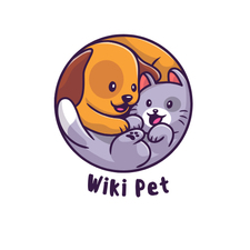 wikipetco's avatar