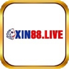 xin88live's avatar