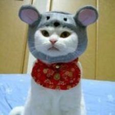 ws_chen's avatar