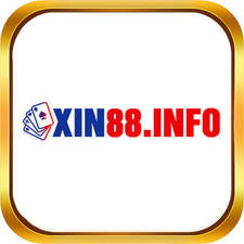 xin88info