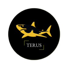Terus Technology