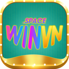 winvnspace