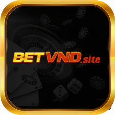 betvndsite's avatar