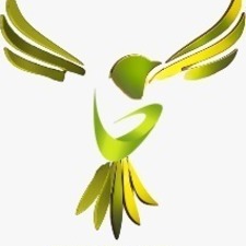 birdlovers's avatar