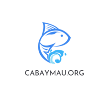 cabaymau's avatar