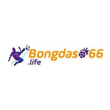 bongdaso66life's avatar