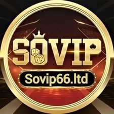 sovip66ltd's avatar