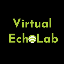 virtualecholab's avatar