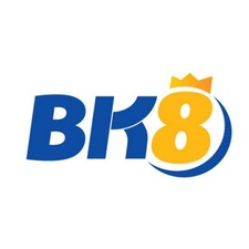 bk8ski's avatar