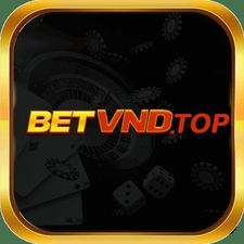 betvndtop