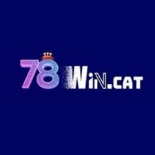 78wincat