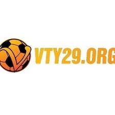 vty29org's avatar