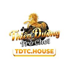 tdtchouse's avatar