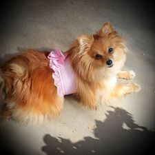 heidi_o'neil's avatar