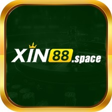 xin88space's avatar