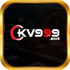 kv999work's avatar