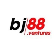 bj88ventures's avatar