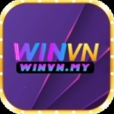 winvnmy