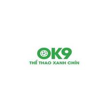 ok9vn2com