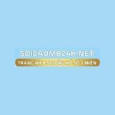 soicaumb24h