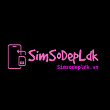 simsodepldkvn's avatar