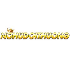 nohudoithuongfile's avatar