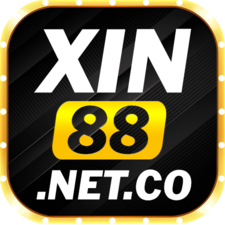 xin88netco's avatar