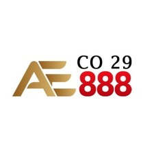 AE888 29