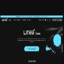 lineav foundation's avatar