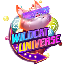 wildcatuniversecom's avatar