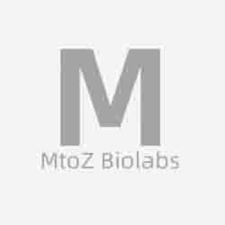 mtozbiolabs 's avatar