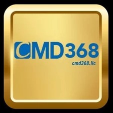 cmd368llc's avatar