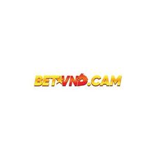 betvndcam's avatar