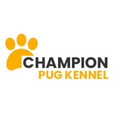championpugpuppies