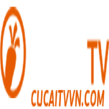 cucaitvvn's avatar