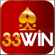 33winsystems's avatar