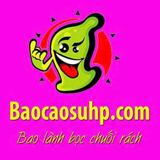 baocaosuhp01's avatar