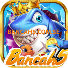 bancah5comse's avatar